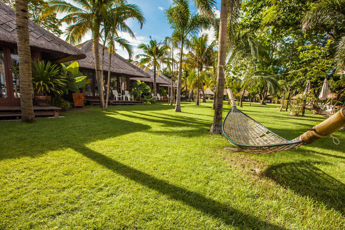 hammock in mali garden