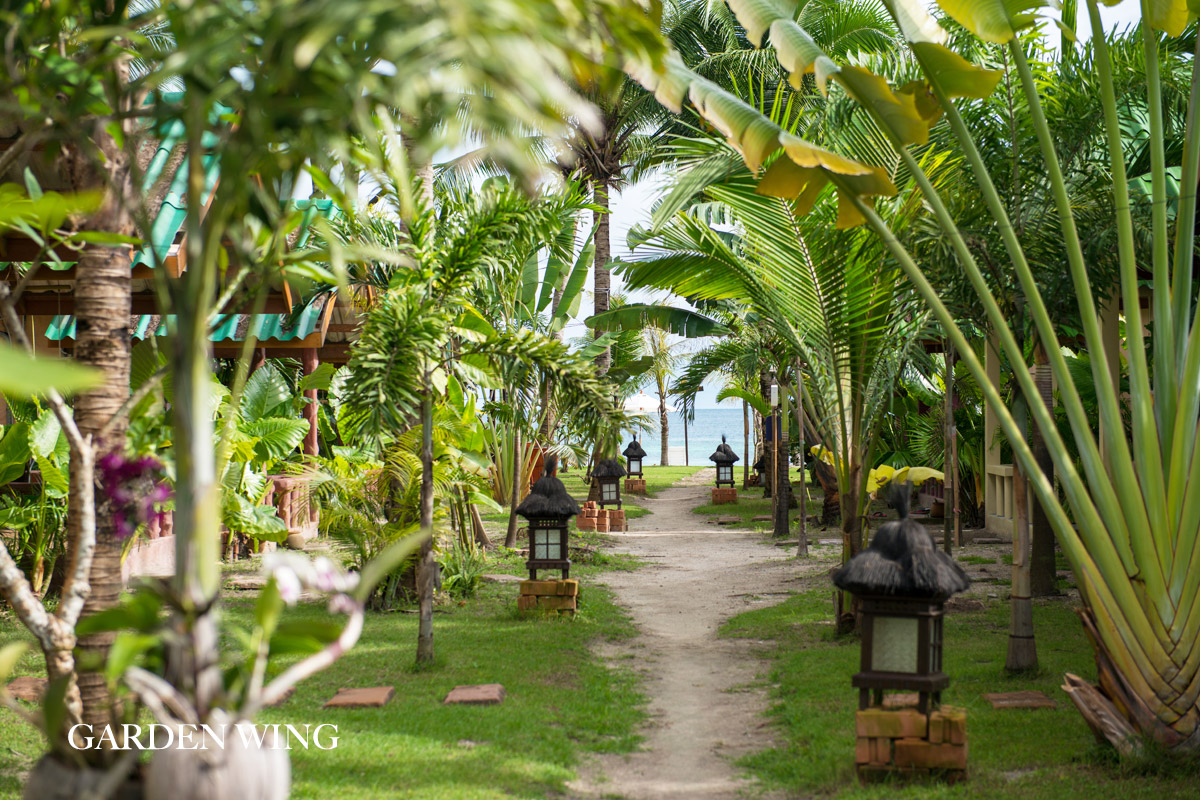 garden wing path to ocean