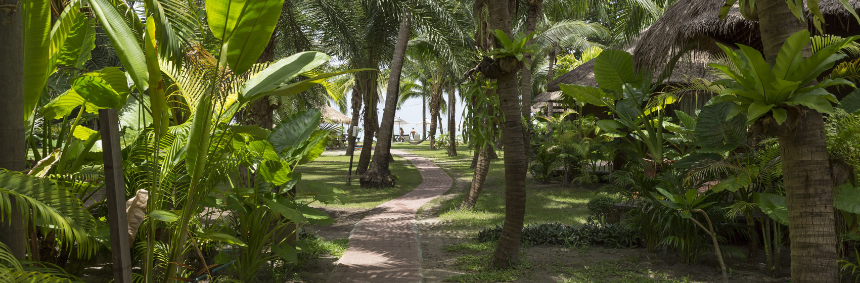 balinese luxury tropical villas