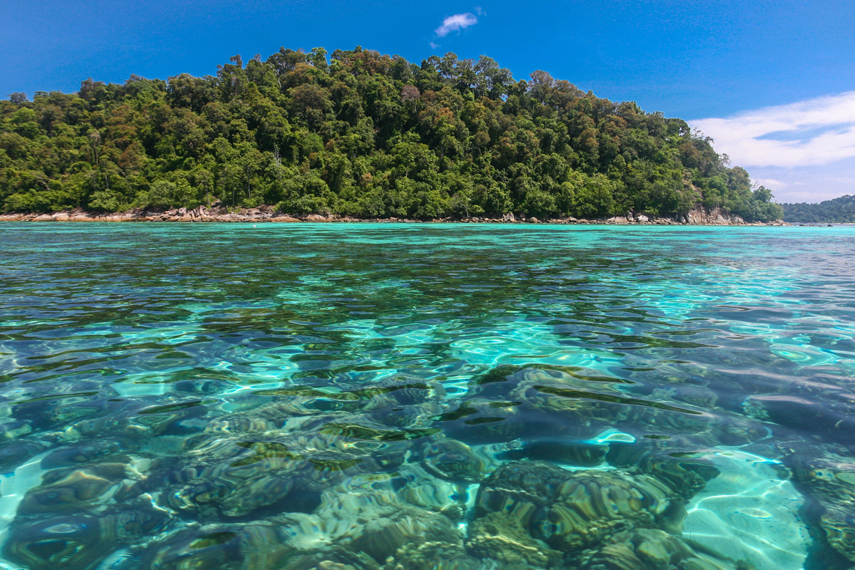 tropical island lipe