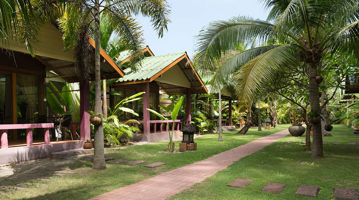 garden wing path